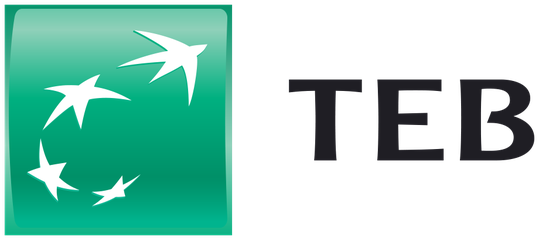 TEB