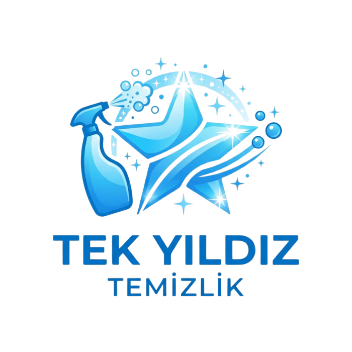 tekyildiztemizlik